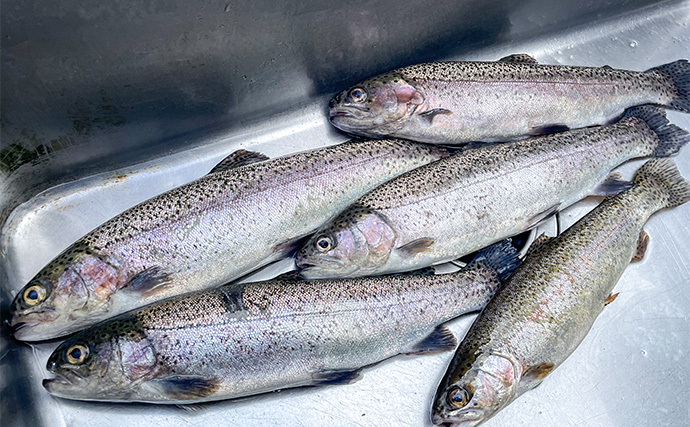 「口の出し過ぎに要注意！」未経験者にルアー釣りを教える際の極意とは？