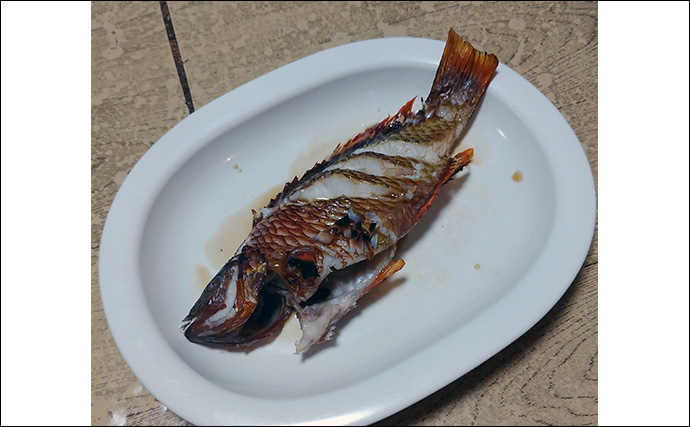 釣りのゲスト魚「ササノハベラ」の素焼きレシピ　新鮮さが美味さの条件