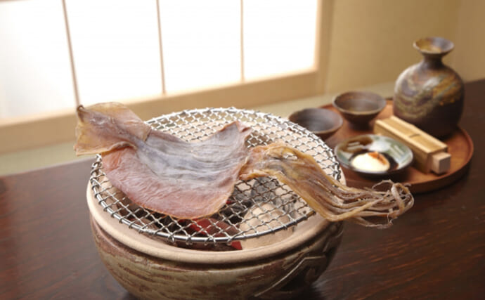 「イカといえばスルメイカ」は過去の話？　海外産の輸入イカの勢力が拡大中