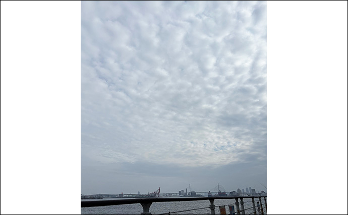 波止のジグサビキ釣行でサバ10尾オーバー【大阪】好反応だったジグカラーとは？