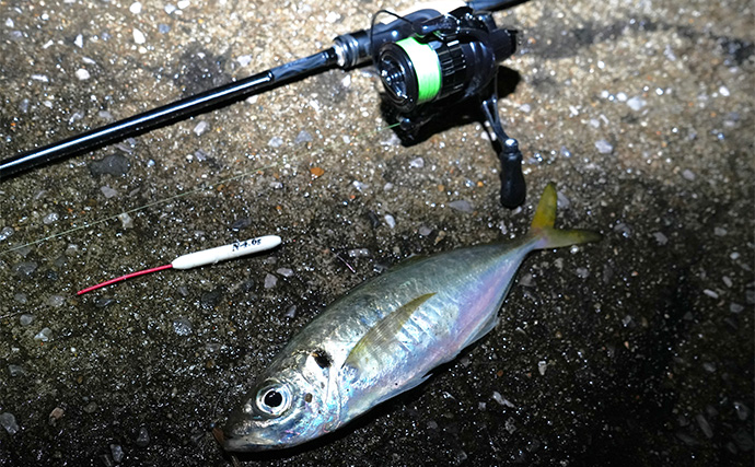 「アジングに長いロッドは不要？」 異例の長尺ロッドは人気釣り場でこそ力を発揮！