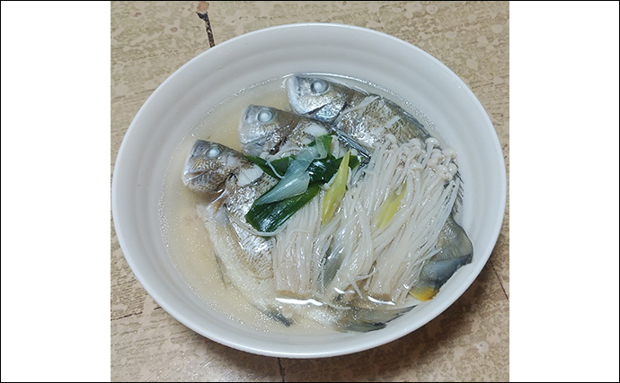 釣れた若魚で作るレシピ：シバチンの吸い物　傷ついた個体を美味しくいただこう