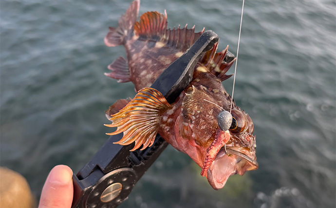 釣り人的スーパーマーケットの見方　釣りのエサになりそうなものはどれ？