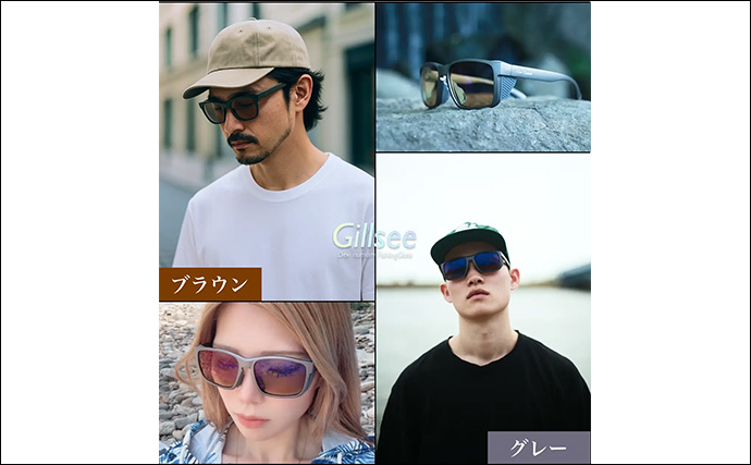 「魚が見えるから昼でも釣れる！」偏光サングラス『Gillsee』で難しいデイアジングを攻略【兵庫・淡路島】