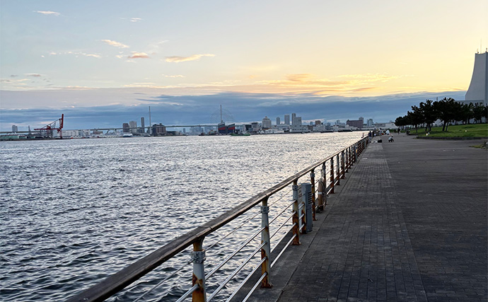 「楽しいけど飽きる？」シーサイドコスモでのLSJ（ライトショアジギング）でサバ三昧【大阪】