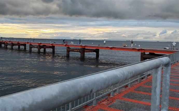 須磨海釣り公園で陸っぱりカワハギ釣りに挑戦【兵庫】エサ取りに苦戦も本命5匹を手中！