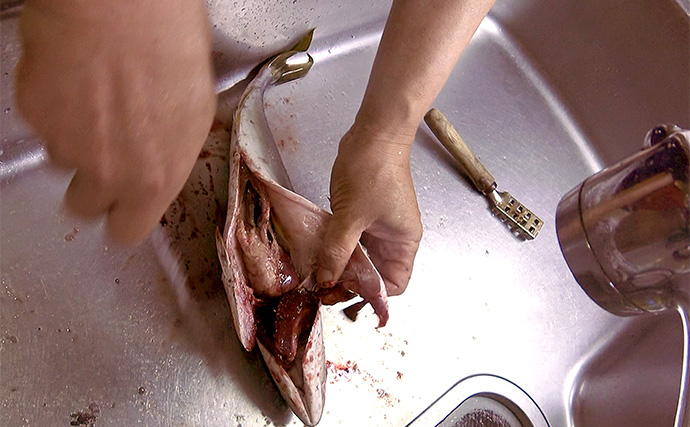 「釣っただけの魚は美味しくない？」 船長に聞く【魚の絞め方・冷やし方・持ち帰り方】
