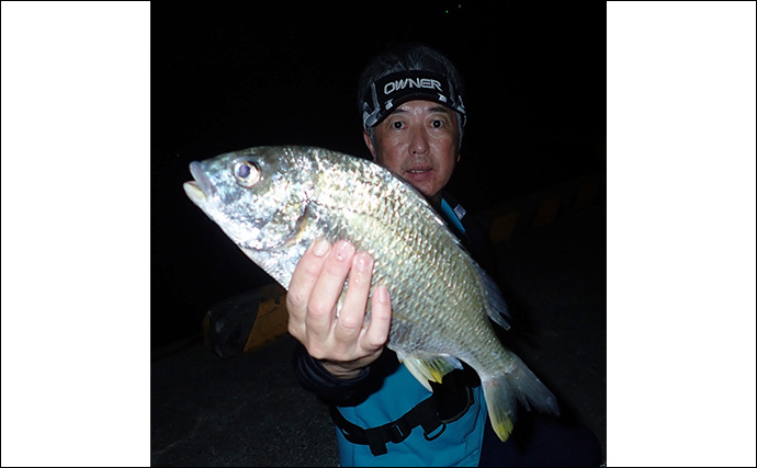 夜の浅場で大型キビレを狙い撃ち【熊本・三角港】ウキ釣りで45cm超えキャッチ成功