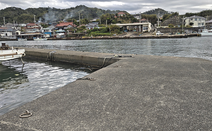 相浜港のフカセ釣りで42cmクロダイをキャッチ【千葉】練りエサ「エサ持ちイエロー」が活躍
