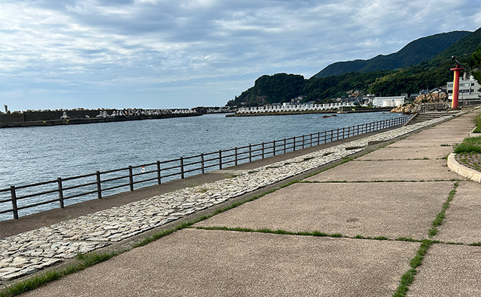 越前のヤエン釣りでアオリイカ当たりっぱなし！【福井】これぞ最盛期の釣り