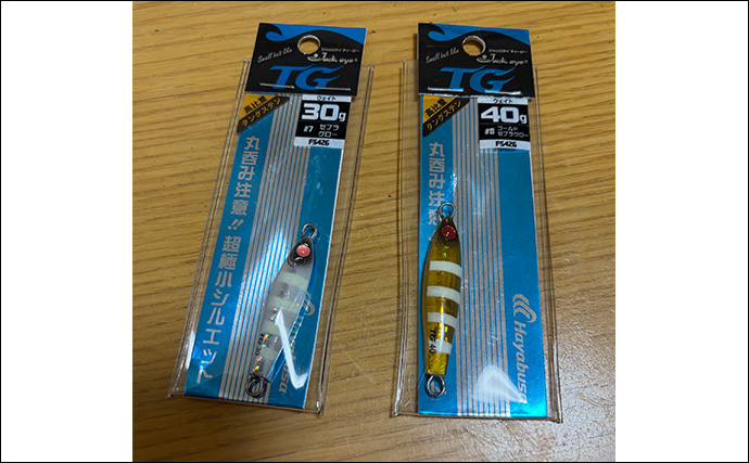 ライトショアジギング（LSJ）超入門 高価なタングステン（TG）の