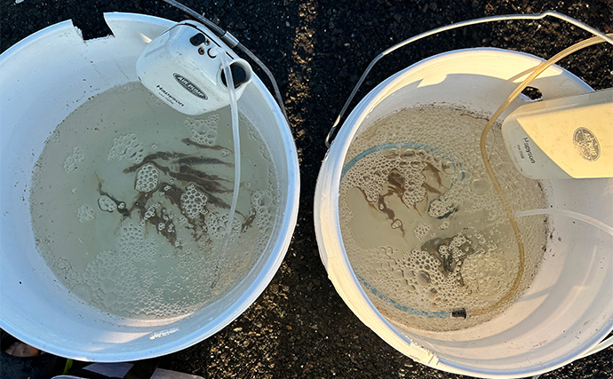 ヤエン釣りでアオリイカ6杯をキャッチ【茂原人工海水浴場】ゲストに青物もヒット