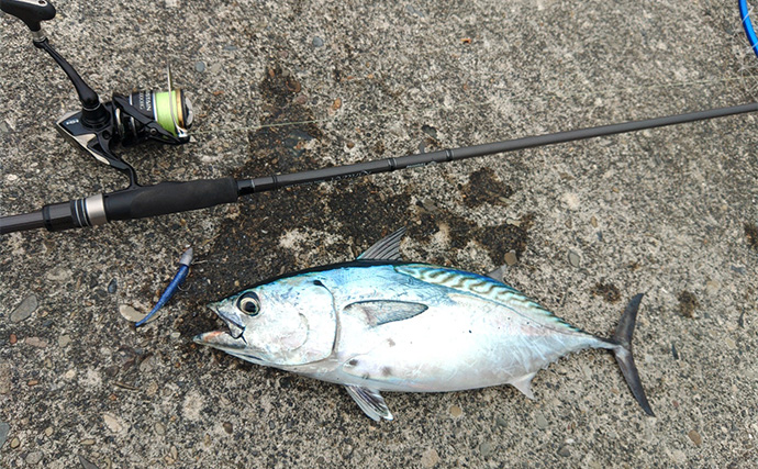 「秋は釣りターゲットがたくさん！」あれもこれも楽しめる【バーサタイルロッドって何？】