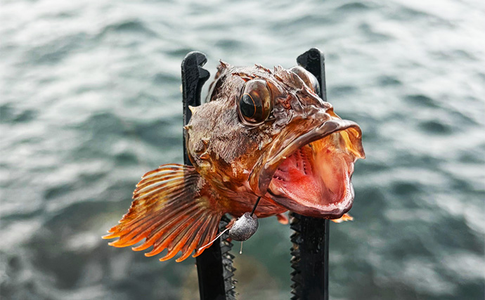 「iPhone17」を持って釣りに出掛けてみた　釣りのために買い替える必要はないかも？