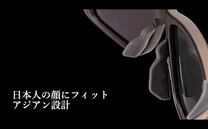 「魚が見えるから昼でも釣れる！」偏光サングラス『Gillsee』で難しいデイアジングを攻略【兵庫・淡路島】