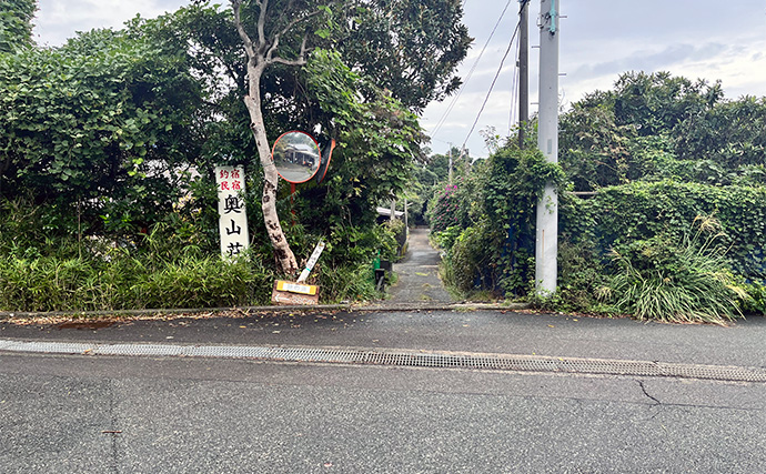 「スマートウォッチの有無で釣果が決まる？」 伊豆大島を１周して磯釣りポイントを探索してみた