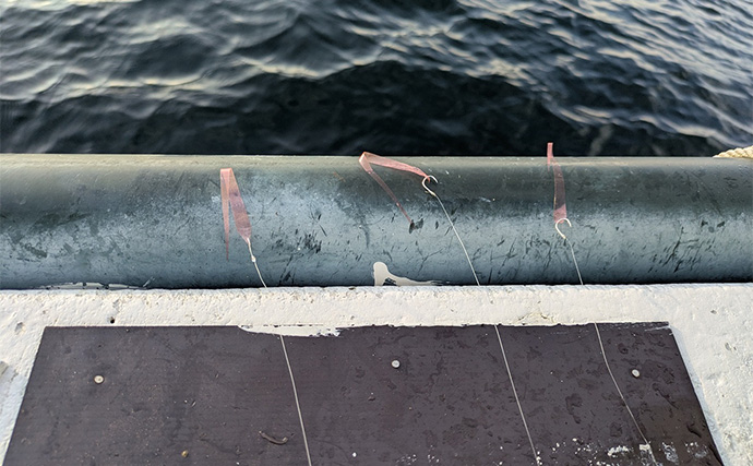 ビニール片でマダイにブリが釣れた！【和歌山・加太】伝統釣法「高仕掛け」は不思議な釣り？