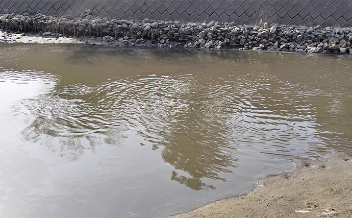「魚の【荒食い】って何？」  活性がアップする秋こそ釣り入門の大チャンス！