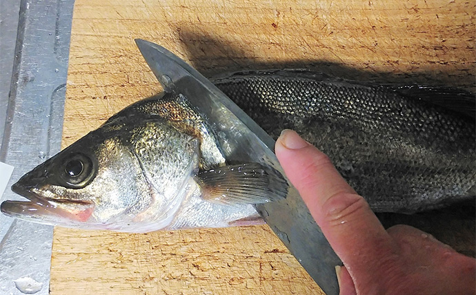 釣魚で作る「がっつり系」レシピ：セイゴの天むす　白米と一緒にガブリ！