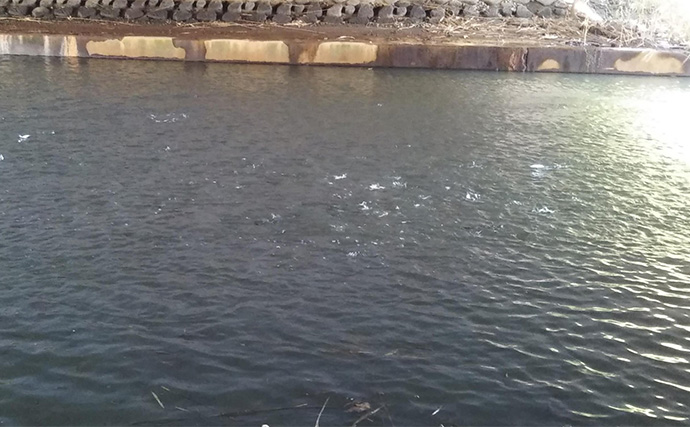 「魚の【荒食い】って何？」  活性がアップする秋こそ釣り入門の大チャンス！