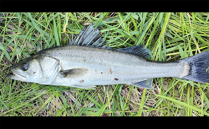 秋のファミリーフィッシング【危険回避ガイド】 もしもの際のお助けアイテム3選も紹介　