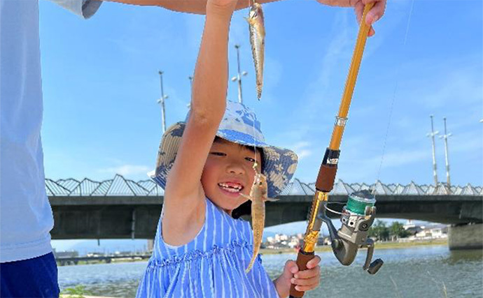 チョイ投げハゼ釣りで本命にキス好捕【新潟・関川】キビレとヒイラギの猛攻に苦戦