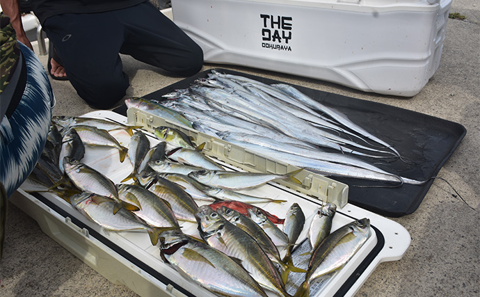 「釣っただけの魚は美味しくない？」 船長に聞く【魚の絞め方・冷やし方・持ち帰り方】