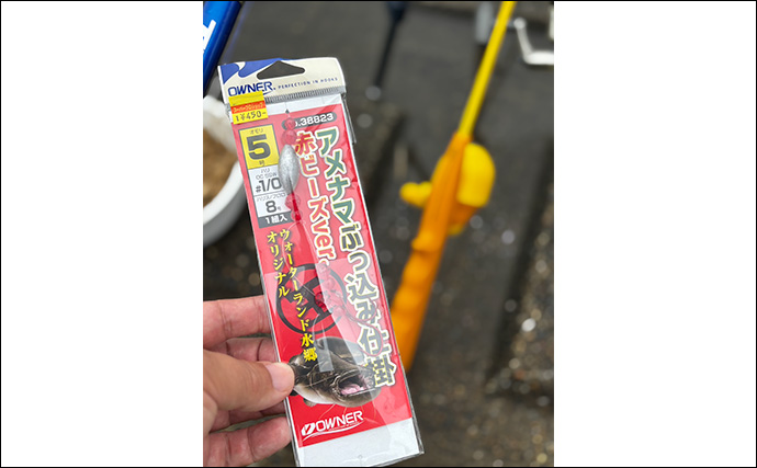 ファミリーフィッシングで手軽に大物釣りたいなら【アメリカナマズ釣りで決まり！】