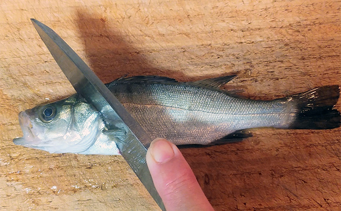 人気釣魚で作る「刺身アレンジ」レシピ：セイゴの柚子ゴショウ和え　小型がオススメ