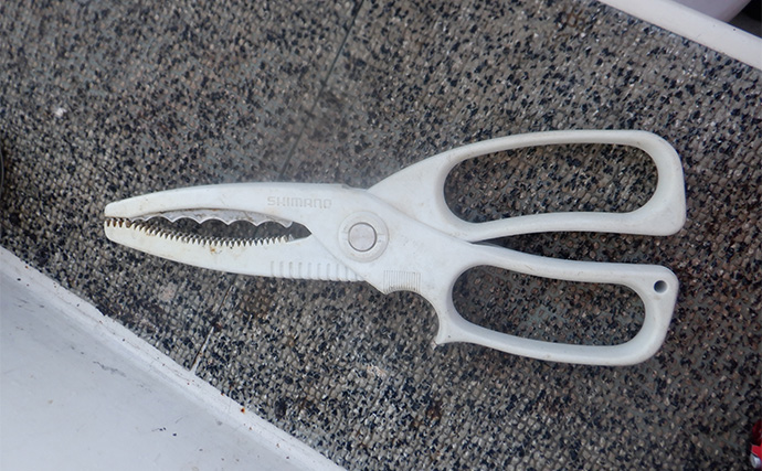 「テンヤタチウオ完全攻略！」中部エリアで始めるドラゴン級狙いの釣り方ガイド