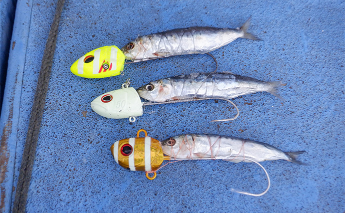 「テンヤタチウオ完全攻略！」中部エリアで始めるドラゴン級狙いの釣り方ガイド