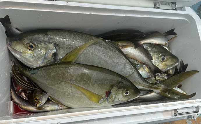 「ヒットする魚のサイズが年々アップしてる？」沖釣り最難関クラスのシマアジ釣況の変化を名手が分析