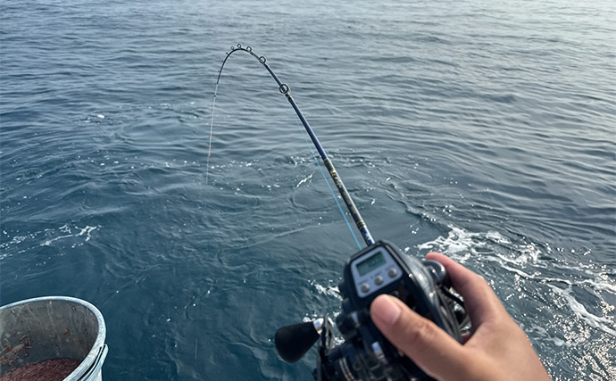 大原沖イサキ船でのシマアジ対応タックルを徹底解説　ターゲットサイズごと3セットの使い分け方とは？