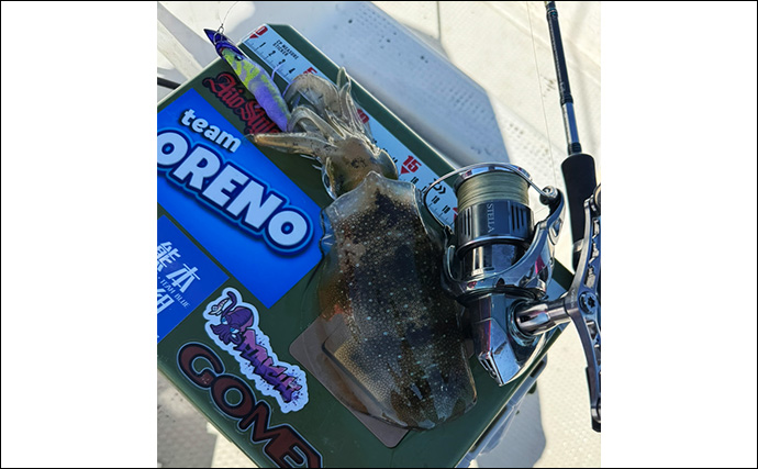 「秋はステップアップに最適！」ティップランエギングの多彩なアタリの種類とアワセ方