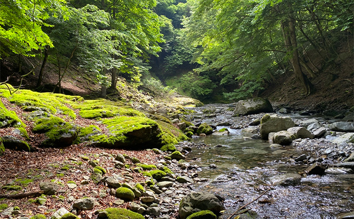 冬に渓流釣りが禁止されているワケ　冬は管理釣り場や冬季釣り場で楽しもう