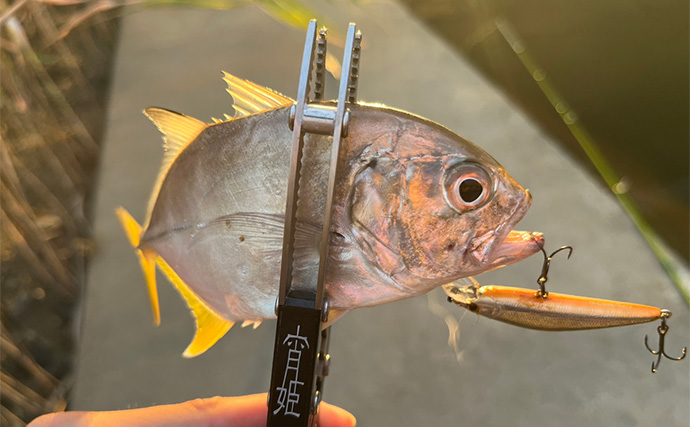 メッキゲーム＆テンヤタチウオのリレー釣りで両本命をキャッチ【淡路島】