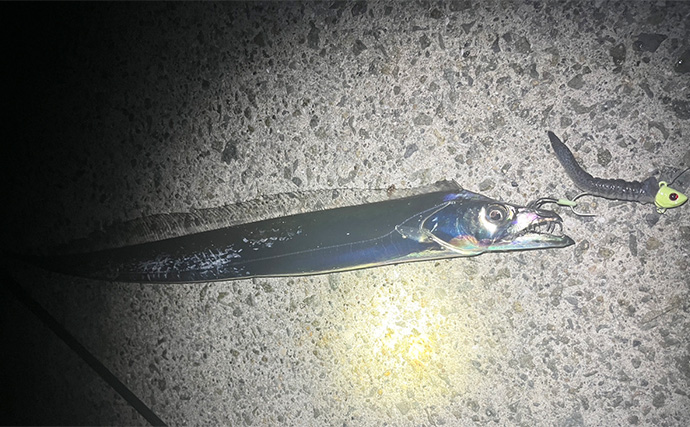 メッキゲーム＆テンヤタチウオのリレー釣りで両本命をキャッチ【淡路島】