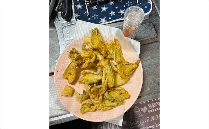 「初心者も型・数共に大満足！」 盛期迎えたハゼ釣りで16cm頭に20匹【大阪】