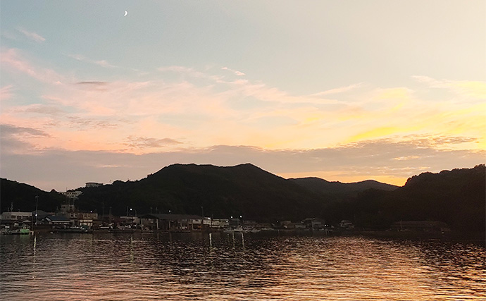 秋の欲張り二本立て釣行でアジにアオリイカを連打【三重】今後はサイズアップに期待