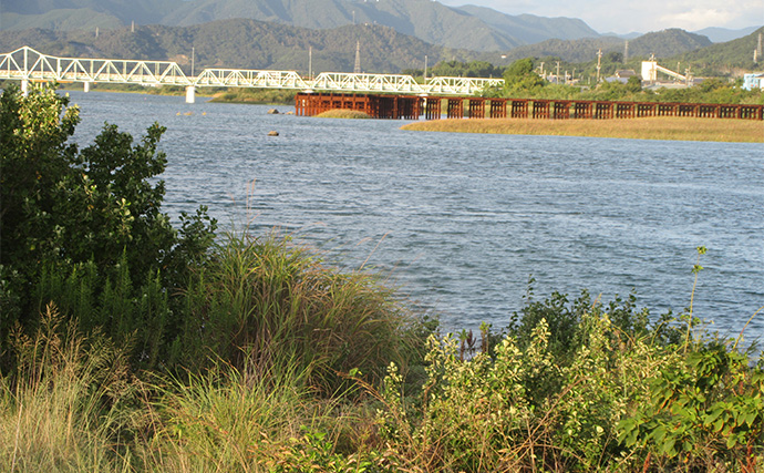 「秋は五目釣りの季節！」河口エリアの投げ＆チョイ投げ釣りで8魚種キャッチ！【和歌山】
