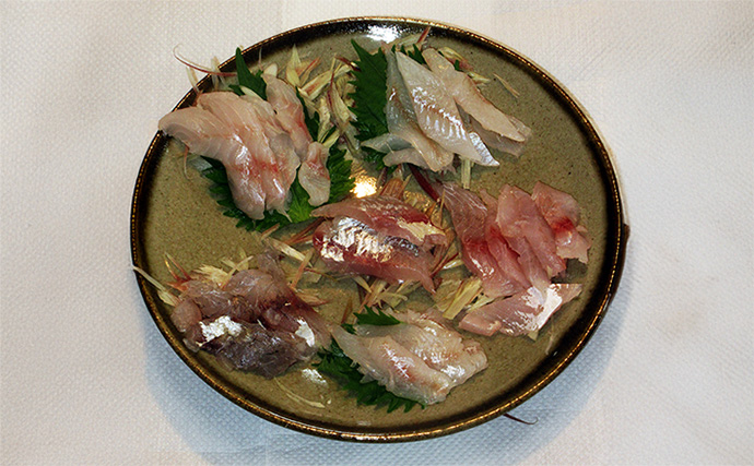 秋の投げ釣り多彩釣果をお刺身6点盛りにして食べ比べてみた　アオハタの圧勝か？