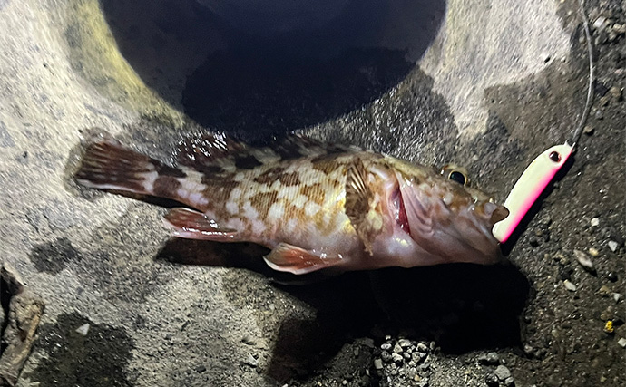 「ボロボロのルアーは捨てちゃダメ！」 使用済みルアーの再利用法4選を紹介