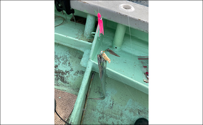 伊良湖水道タチウオ釣りで28本キャッチ【愛知・七福丸】天秤とテンヤどちらも連発！