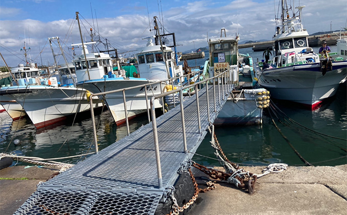 伊良湖水道タチウオ釣りで28本キャッチ【愛知・七福丸】天秤とテンヤどちらも連発！