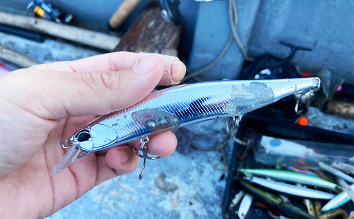 伊勢湾奥キャスティングゲームで「サワラカッター2発」の洗礼に泣く　ツバスは連発