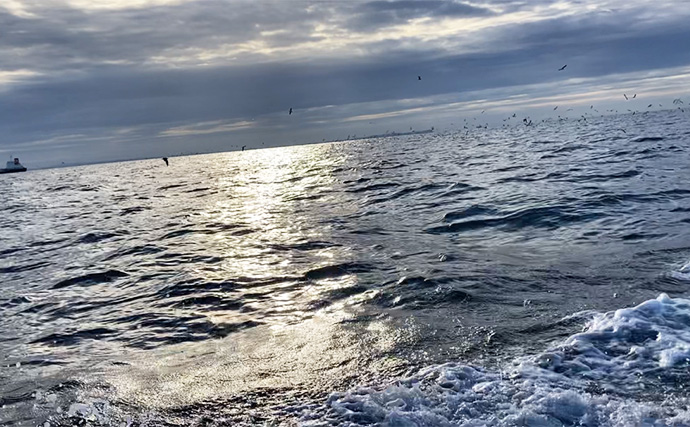 伊勢湾奥キャスティングゲームで「サワラカッター2発」の洗礼に泣く　ツバスは連発