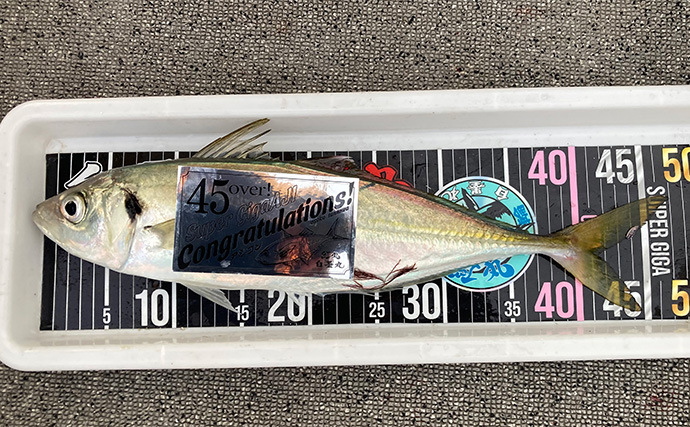 47cmギガアジ堂々浮上！【大阪】DEEPバチコンアジングで大型アジが船中連発