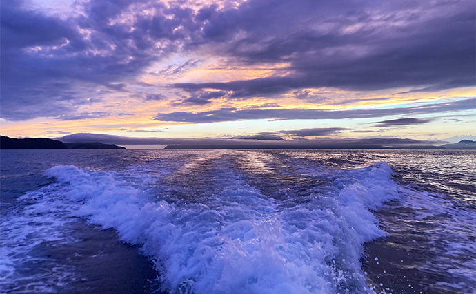 47cmギガアジ堂々浮上！【大阪】DEEPバチコンアジングで大型アジが船中連発