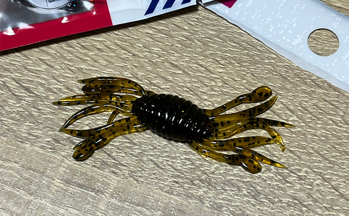 ダイソーの「クラブワーム」で良型マゴチをキャッチ【浜名湖】直リグに即ヒット！