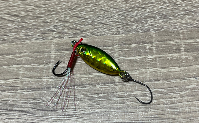 ダイソールアーだけで5魚種キャッチ達成！【静岡】メタルジグマイクロフラットは釣れる！